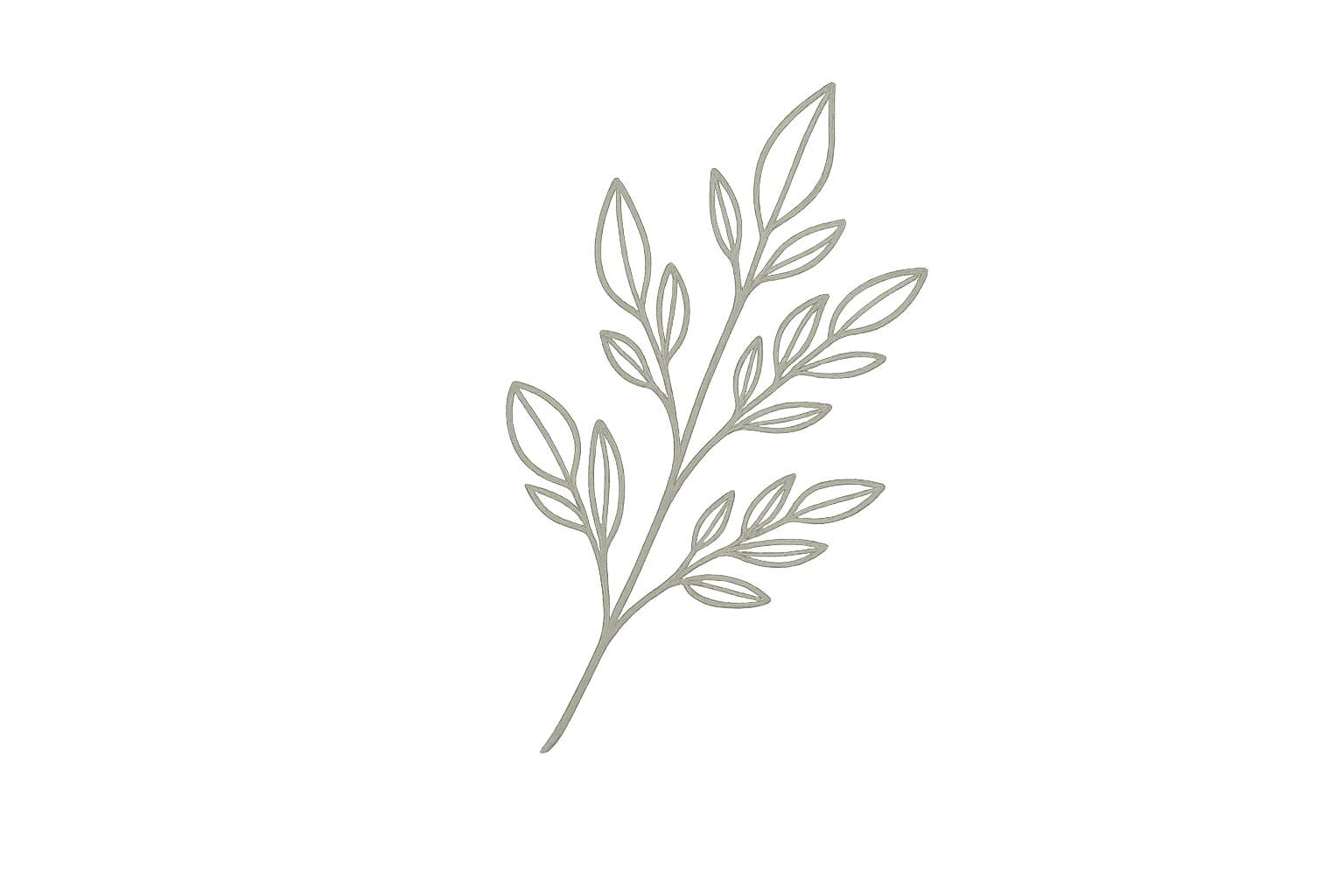 Illustrazione decorativa di un ramo con foglie